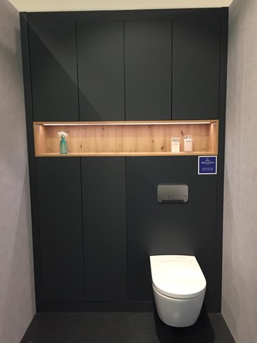 Toilet-/badkamerinterieur met bovenkasten en nis